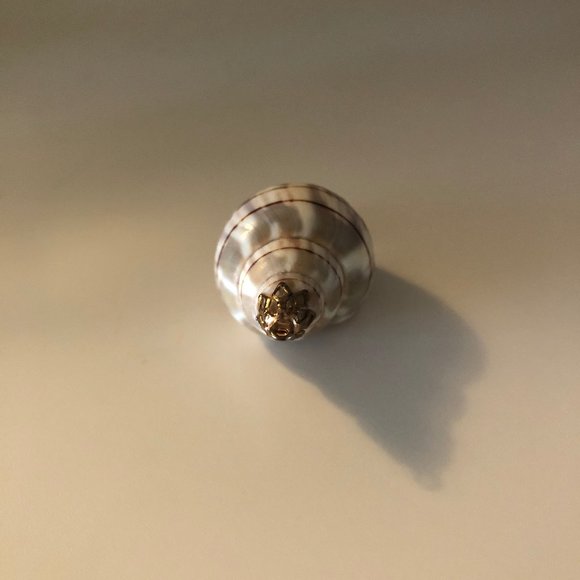 Seashell Pendant with Gold Fascinator for Necklace - Picture 5 of 5